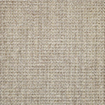 Broadloom carpet in textural woven sisal in oatmeal beige.