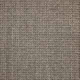 Broadloom carpet in textural woven sisal in cool taupe.