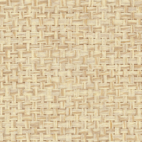 Detail of a paperweave grasscloth wallpaper in mottled tan.