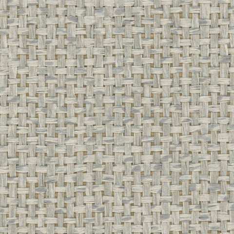 Detail of a paperweave grasscloth wallpaper in mottled gray.