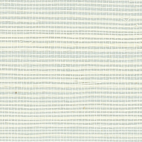 Detail of a sisal grasscloth wallpaper in white on a pale blue paper backing.