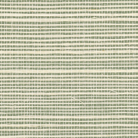 Detail of a sisal grasscloth wallpaper in cream on a green paper backing.