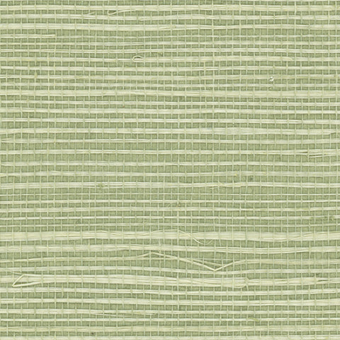 Detail of a sisal grasscloth wallpaper in pastel green on a green paper backing.