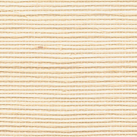 Detail of a sisal grasscloth wallpaper in cream on a paper backing.
