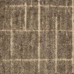 Textured carpet with a checkered pattern in taupe and beige tones.