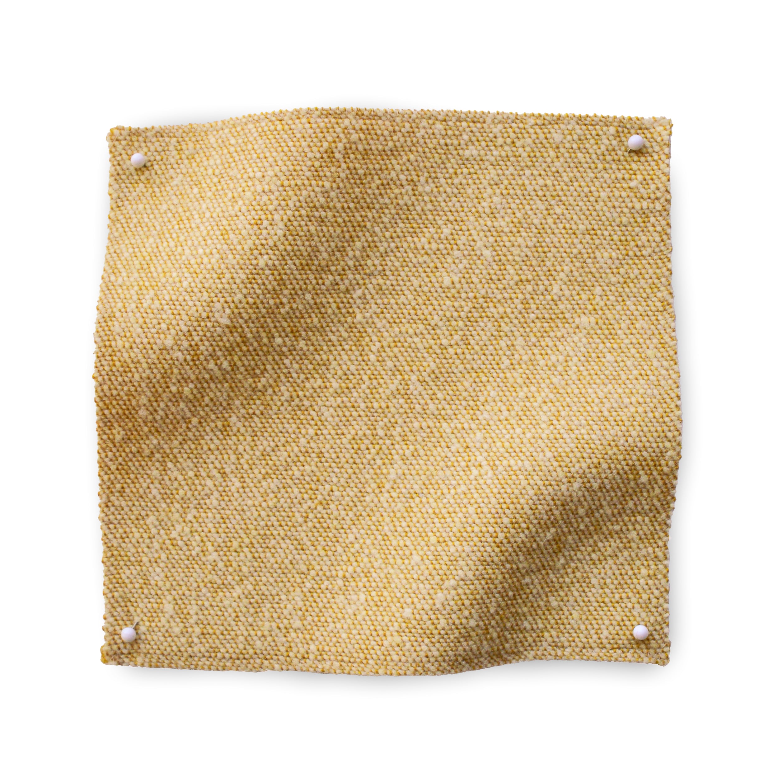 Square fabric swatch of heathered wool in a gold colorway.