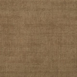 Solid broadloom carpet in taupe. 