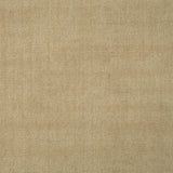 Solid broadloom carpet in ecru.