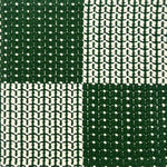 Indoor-Outdoor rug in a graphic checkerboard in white and green.