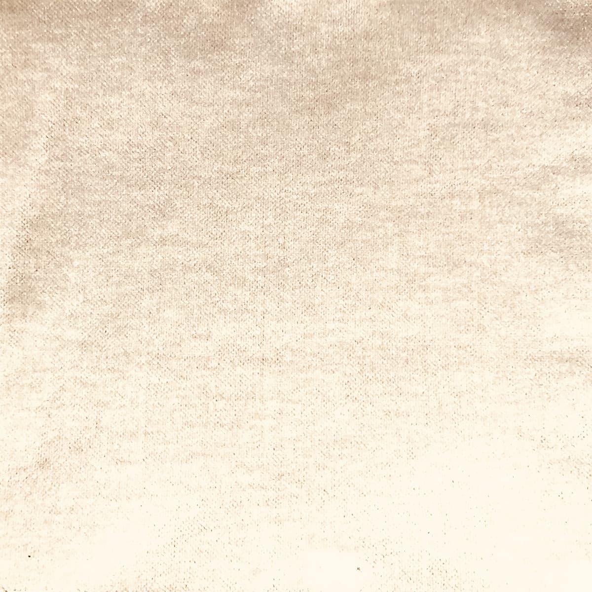 Detail of velvet fabric in cream.