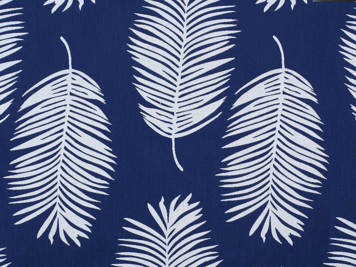 Palm print performance fabric in white on blue. 