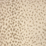 Broadloom carpet swatch spots design in ivory grey