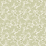 Detail of wallpaper in a dense leaf and stem print in sage on a white field.