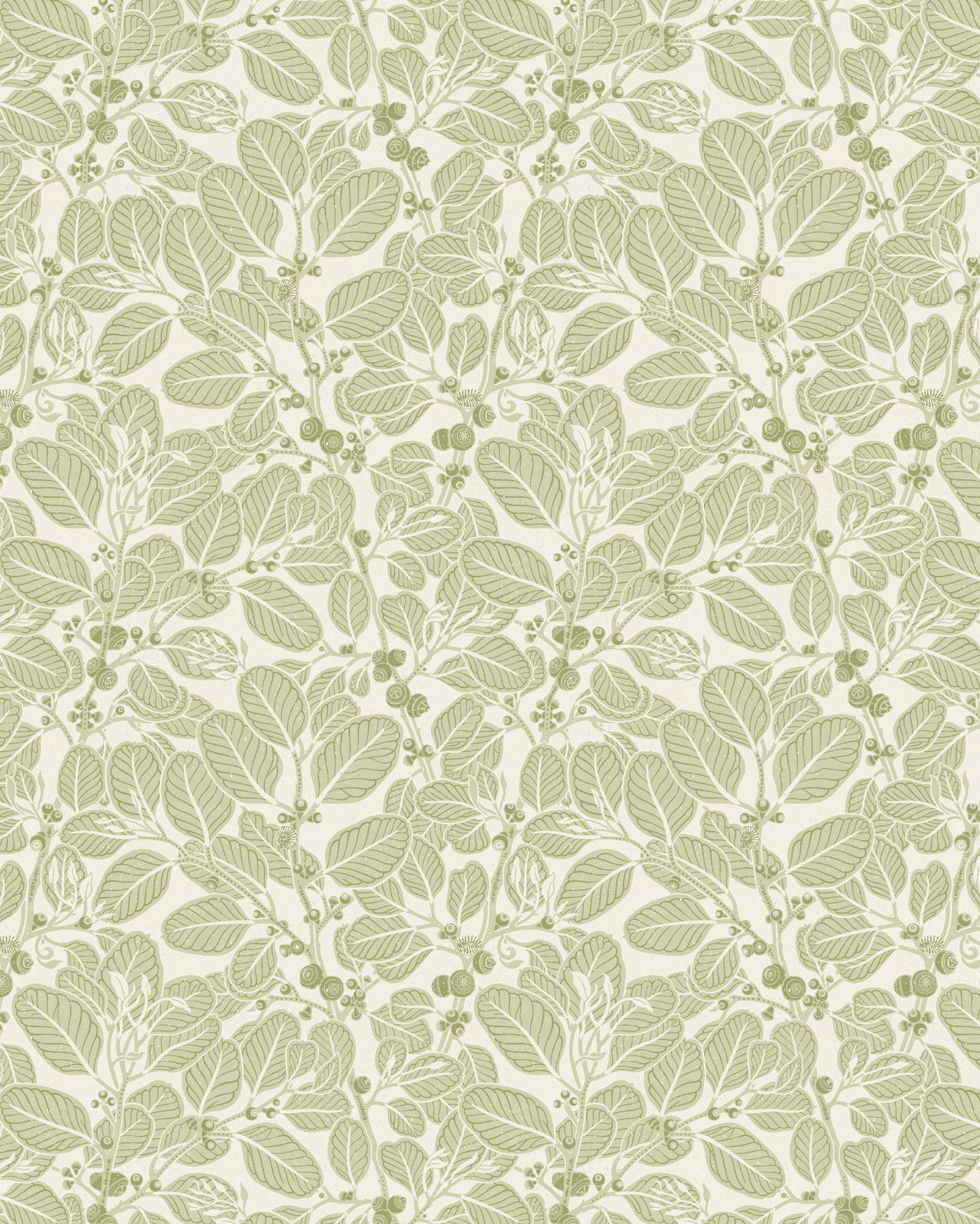 Detail of wallpaper in a dense leaf and stem print in sage on a white field.