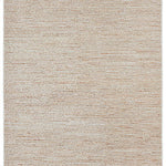 Beige area rug with a subtle pattern on a white background