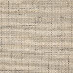 Broadloom carpet swatch in a textured pattern in a cream black design