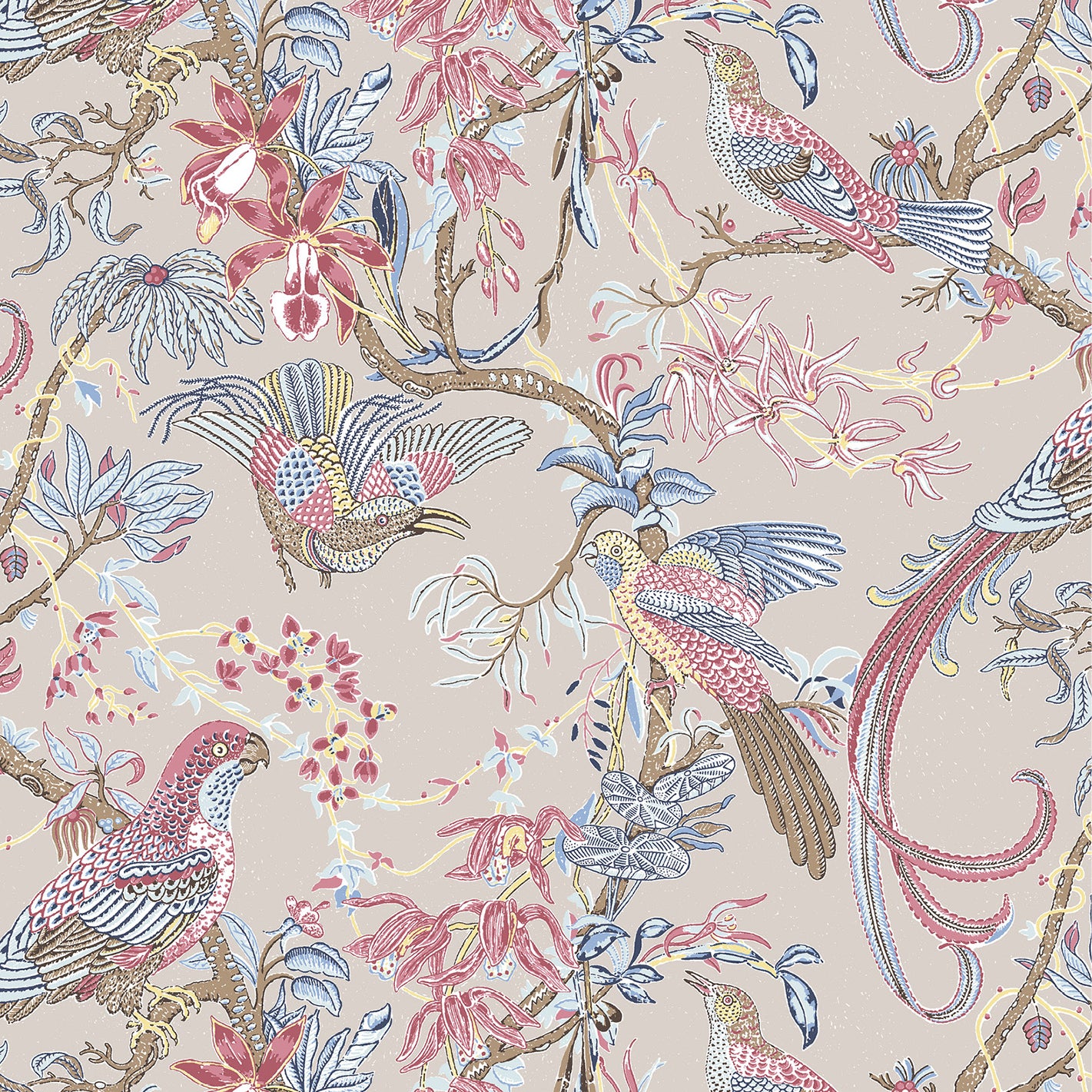 Wallpaper in a botanical branch pattern with tropical birds in pink, blue and yellow on an ecru field.