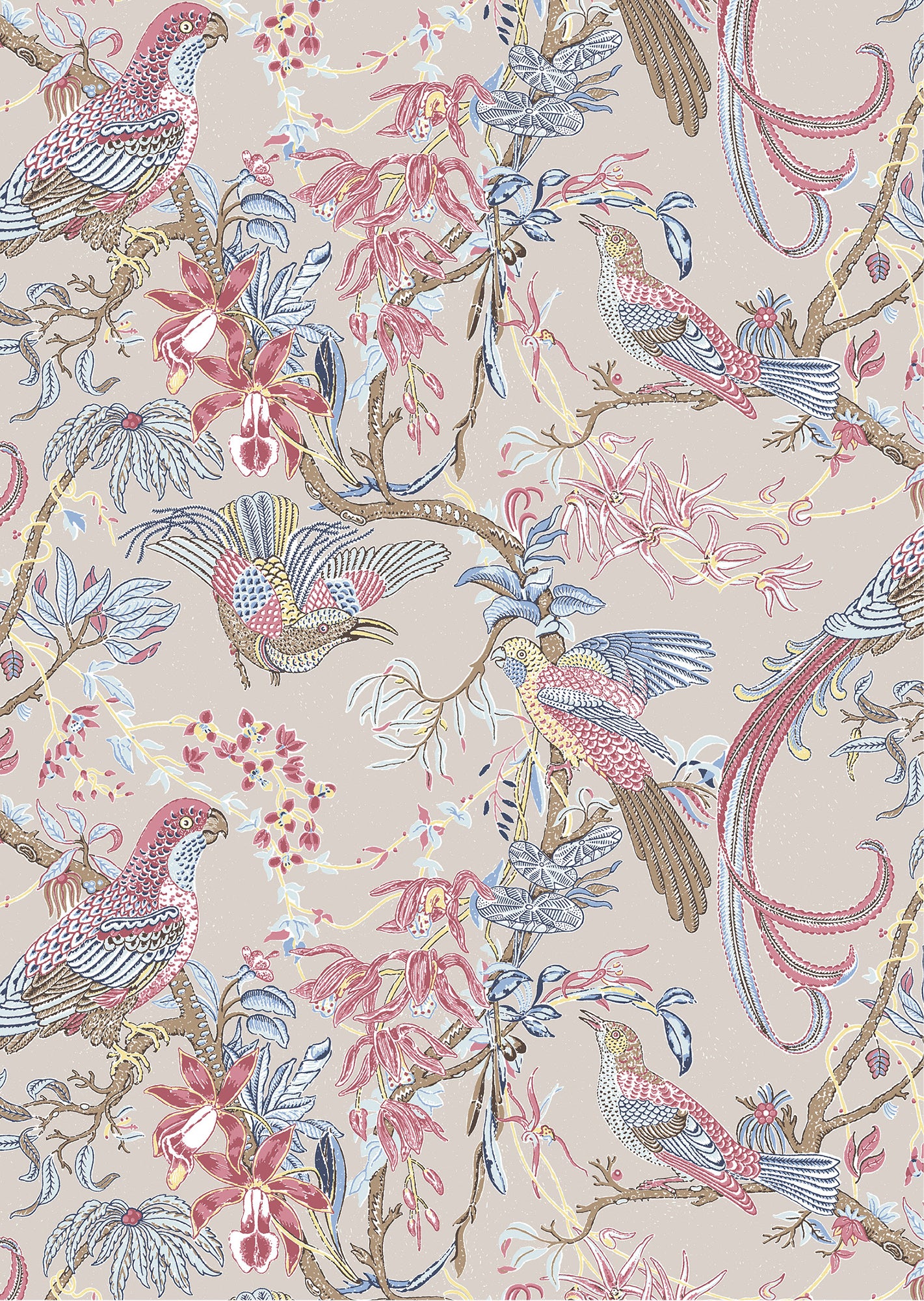 Wallpaper in a botanical branch pattern with tropical birds in pink, blue and yellow on an ecru field.