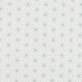 Fabric with an embroidered floral lattice print in light gray on a cream field.