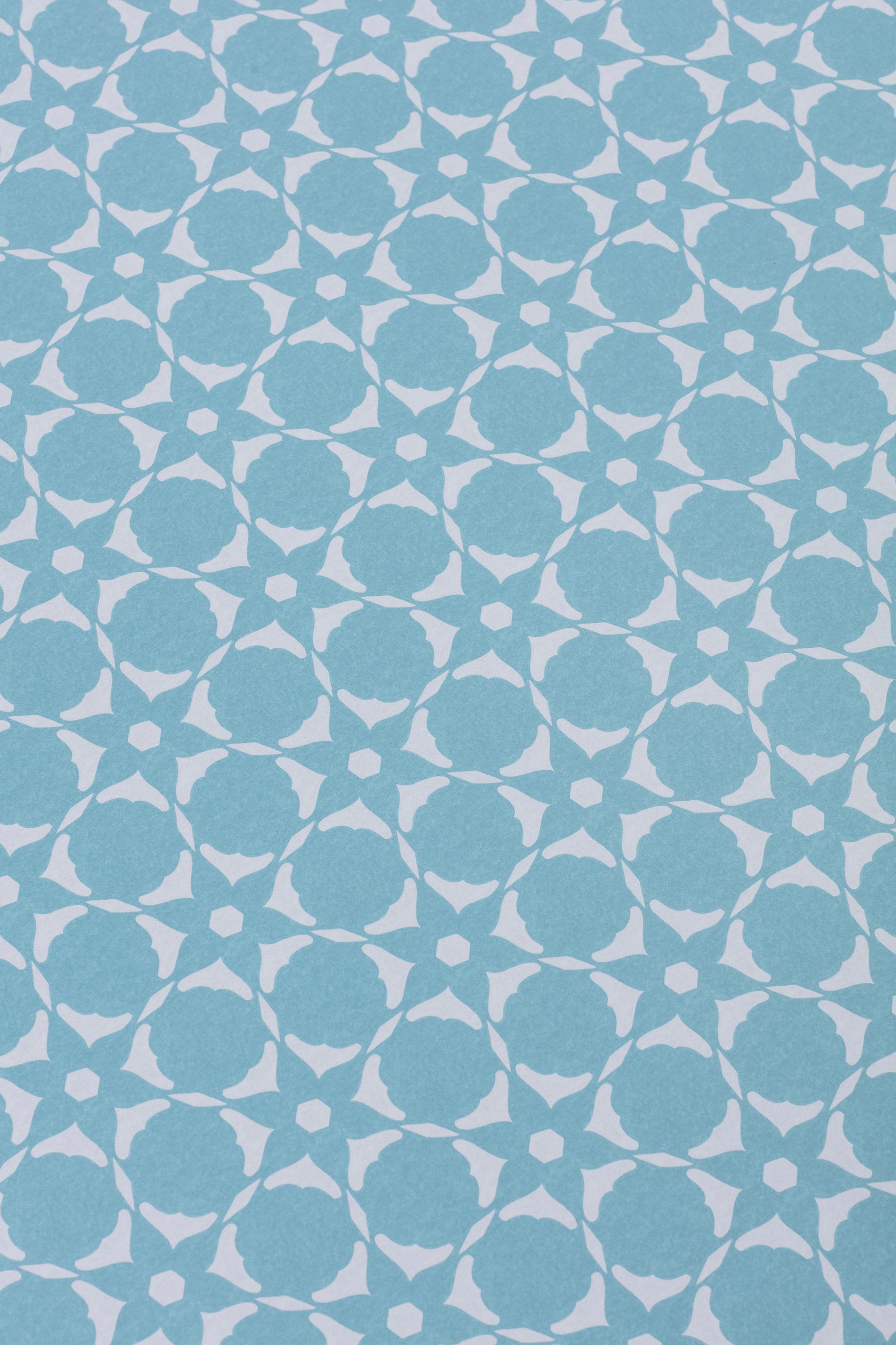 Wallpaper detail in a floral lattice print in  cream on a powder blue field.