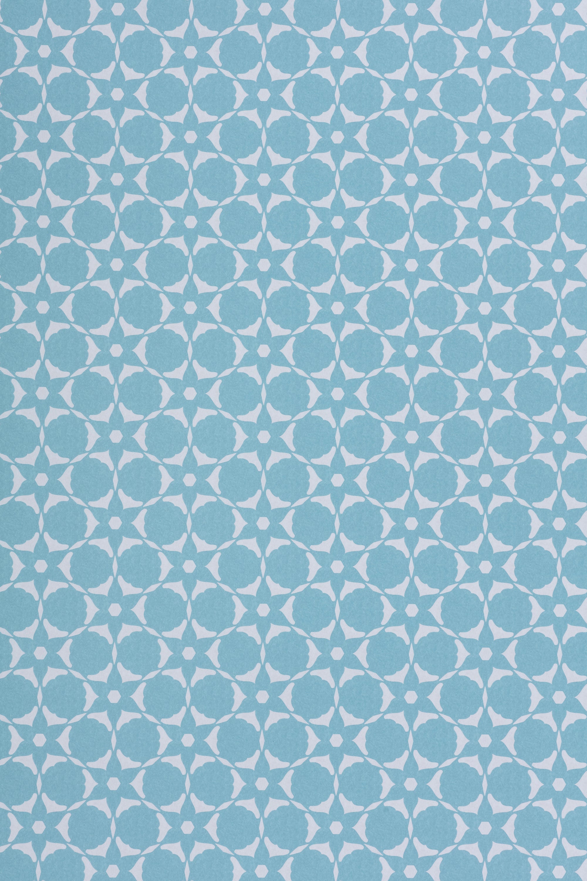 Wallpaper in a floral lattice print in  cream on a powder blue field.