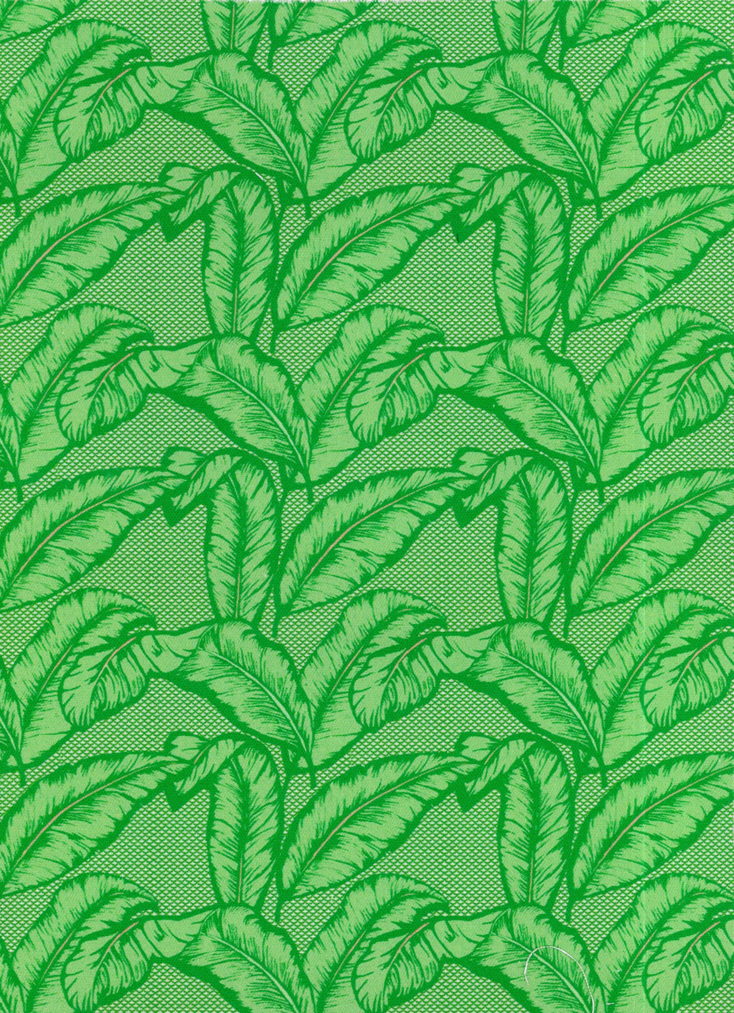 Detail of fabric in a dense leaf print in shades of green on a green field.