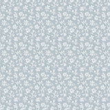 Pattern of small white flowers on a light blue background