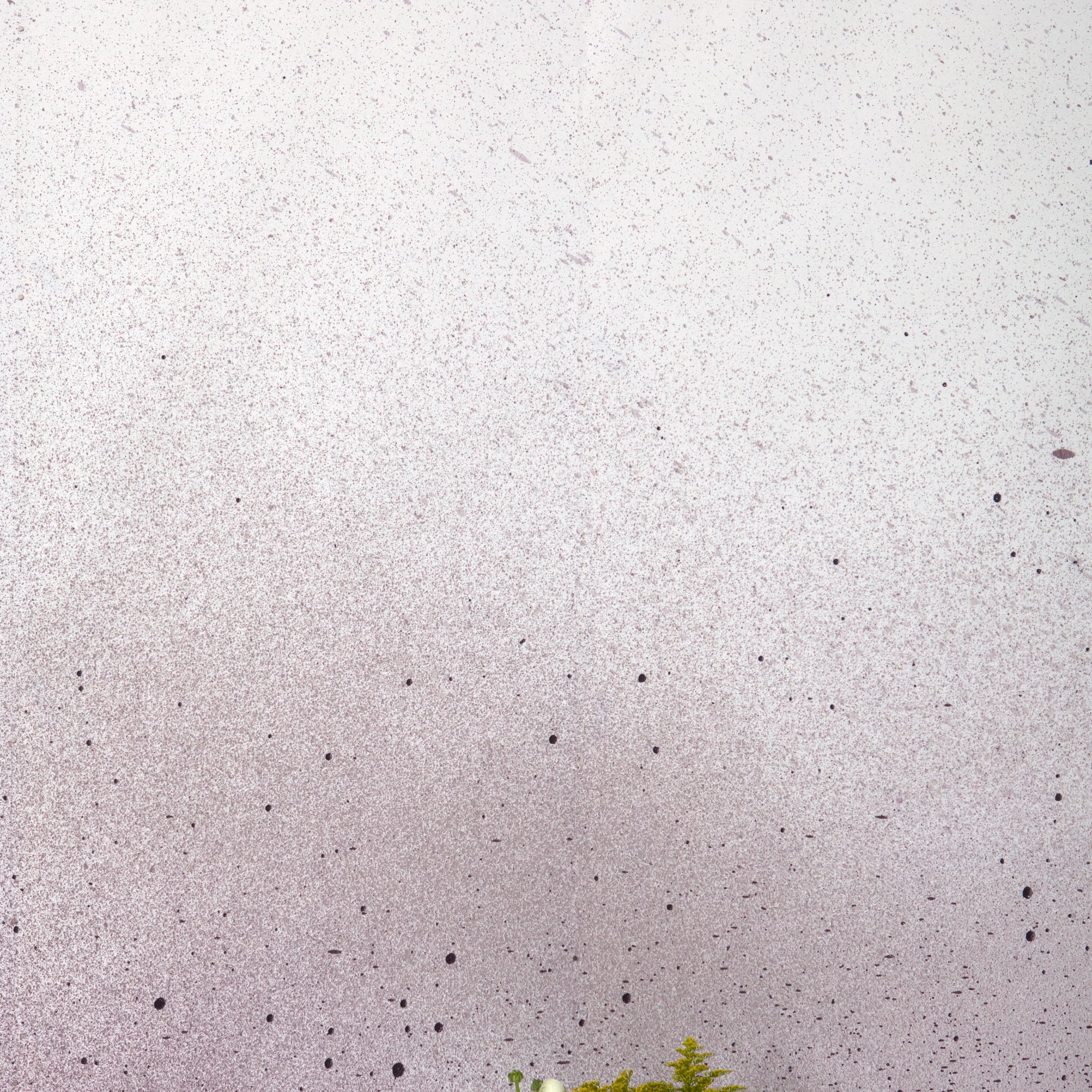 Two vases of flowers stand in front of a wall covered in an abstract ombré paint splatter print in purple, gray and white.