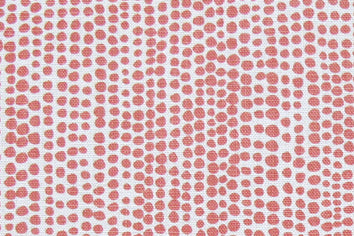 Detail of wallpaper in a painterly dotted print in coral on a white field.