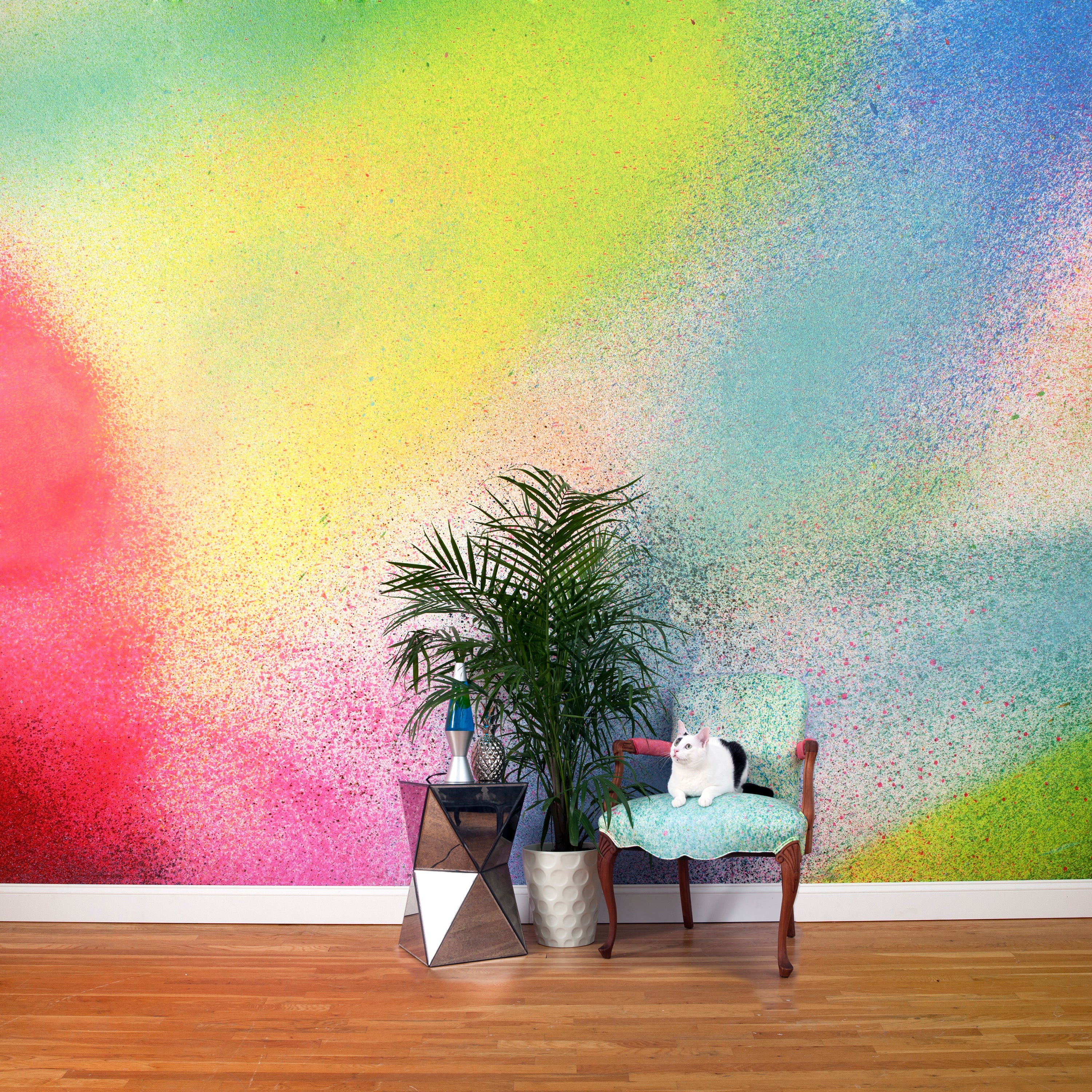 A chair, plant and cat stand in front of a wall covered in an ombré paint splatter print in pink, yellow, blue and green.