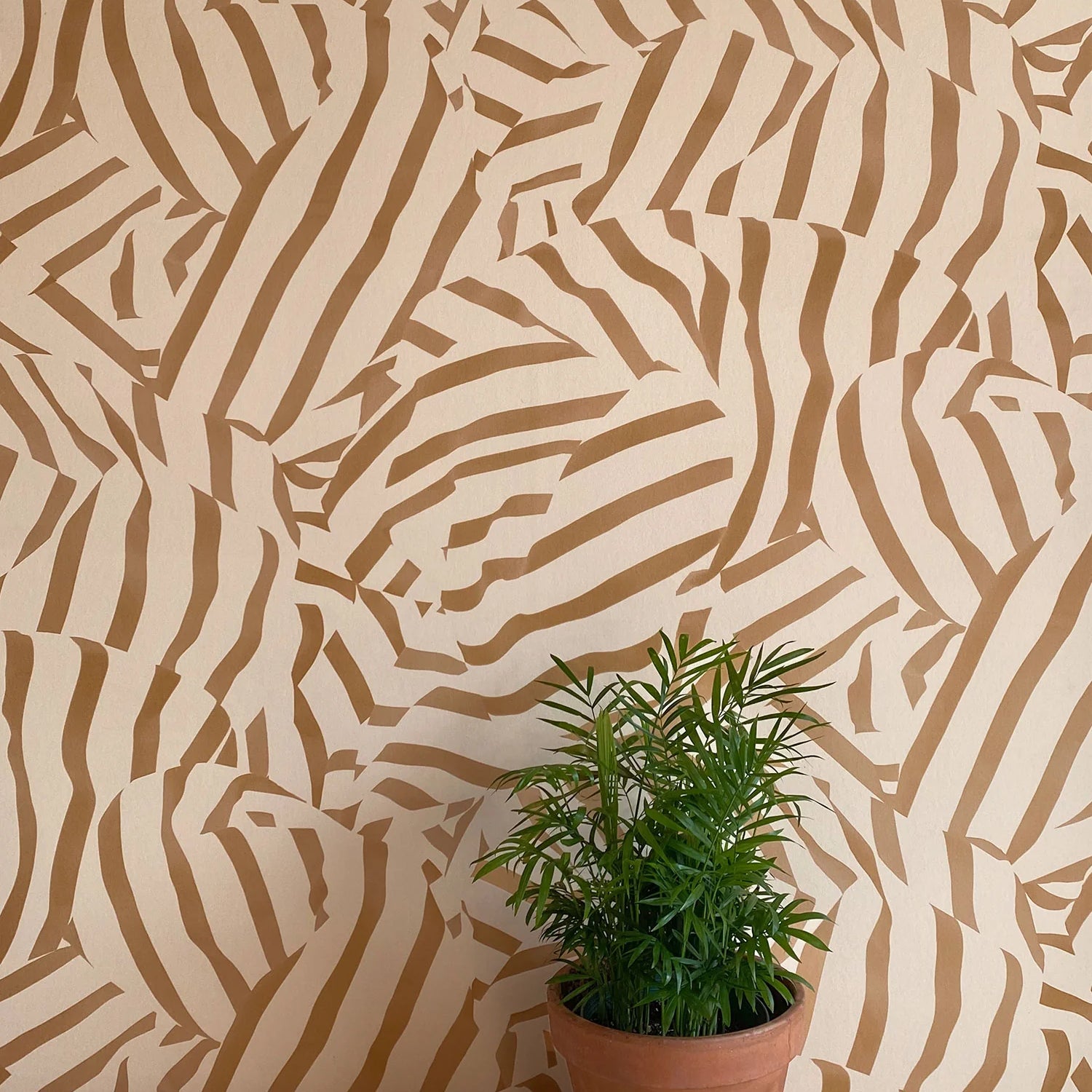 A potted plant stands in front of a wall papered in a playful broken stripe print in brown on a tan field.