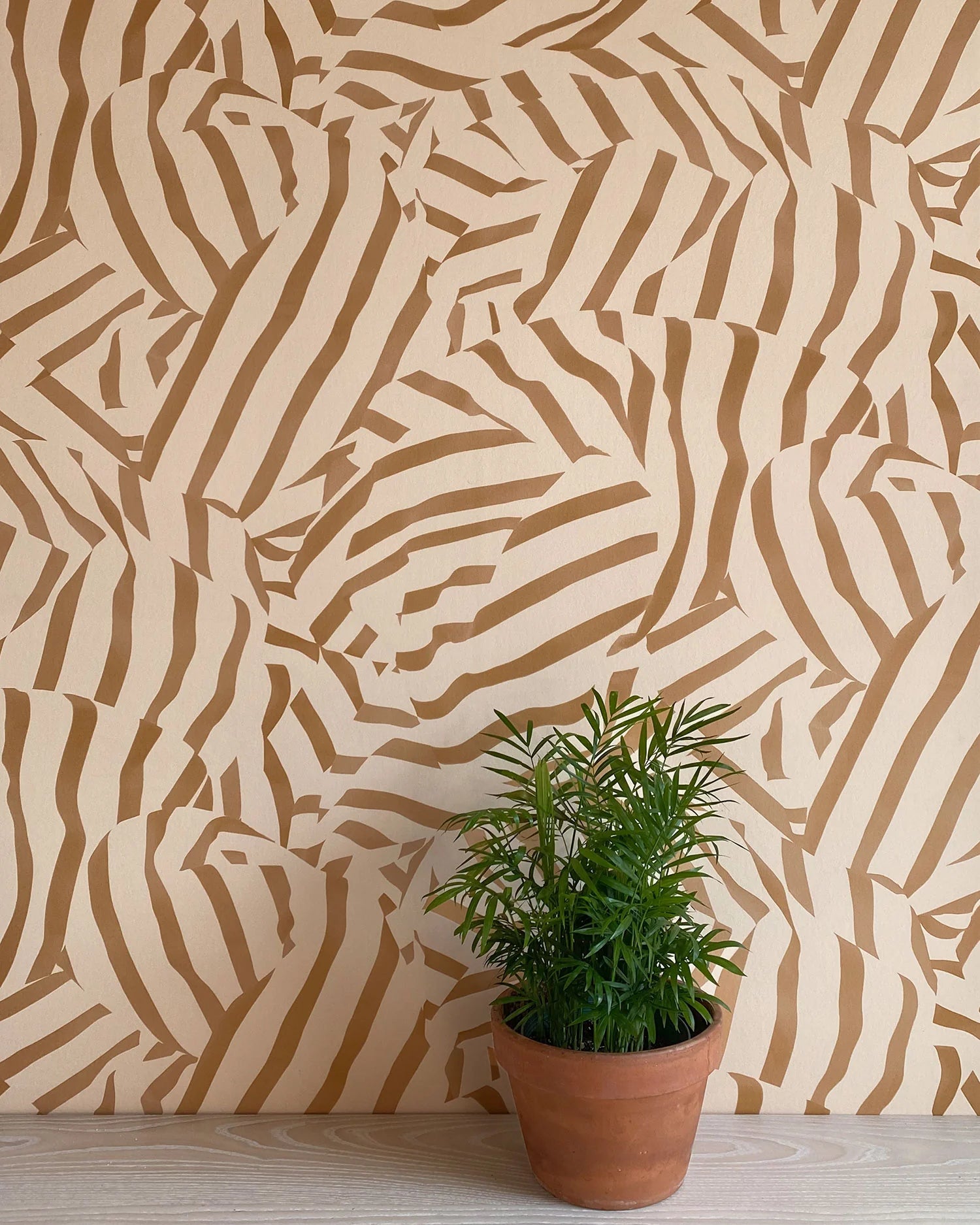 A potted plant stands in front of a wall papered in a playful broken stripe print in brown on a tan field.