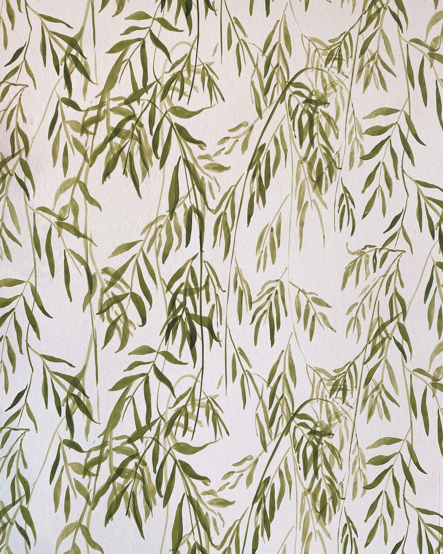 Detail of wallpaper in a painterly willow leaf print in green on a white field.