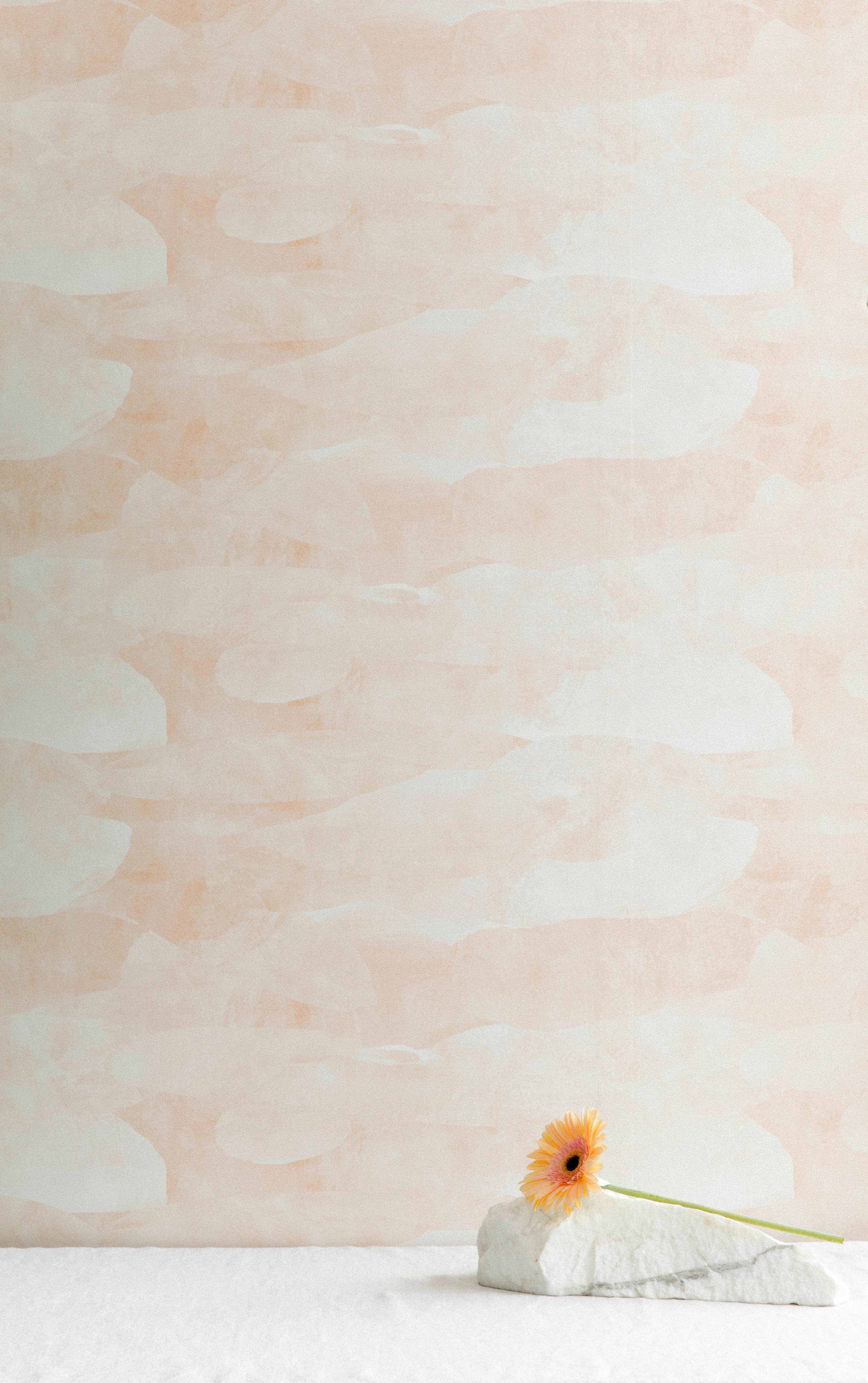 A flower lays in front of a wall papered in an abstract textural pattern in shades of white and pink.