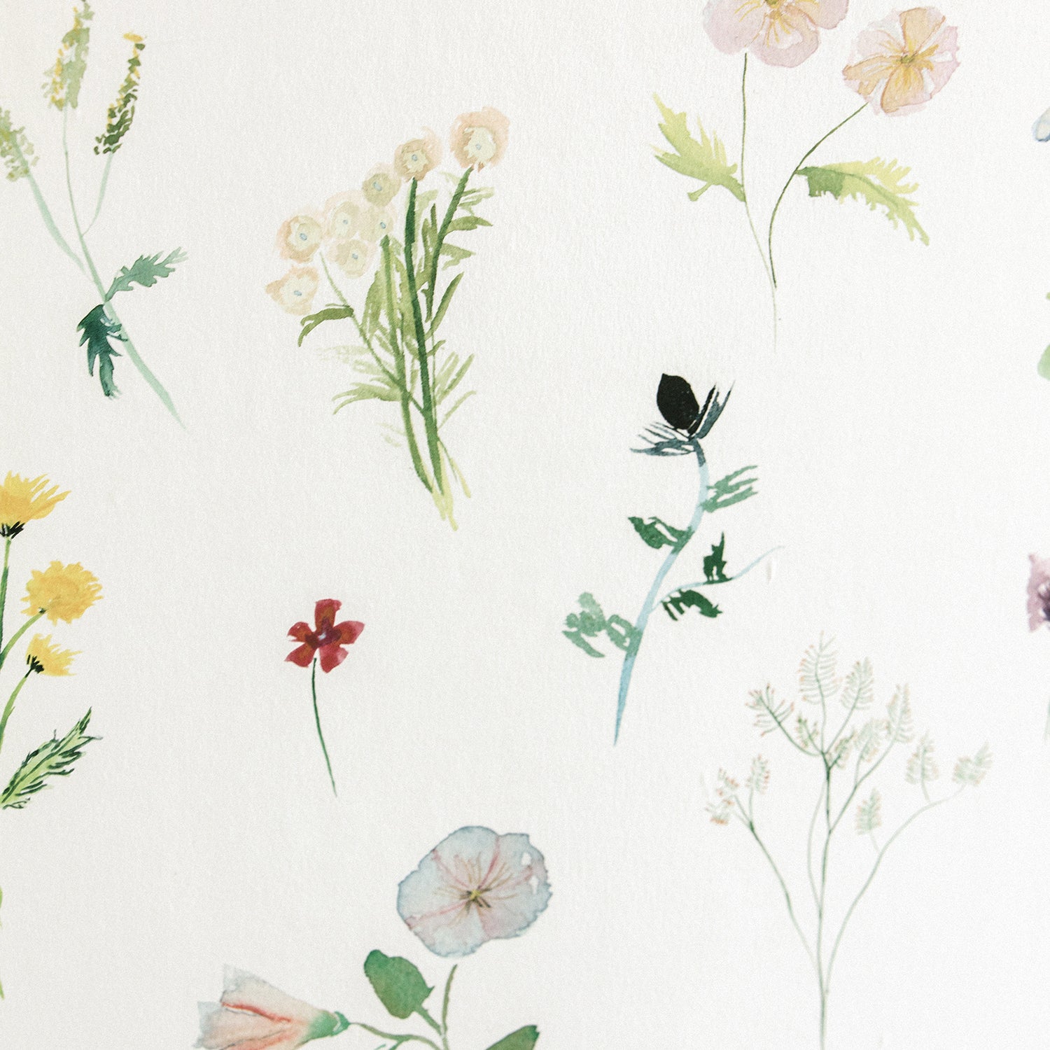 Detail of wallpaper in a painterly flower print in green and pastels on a cream field.