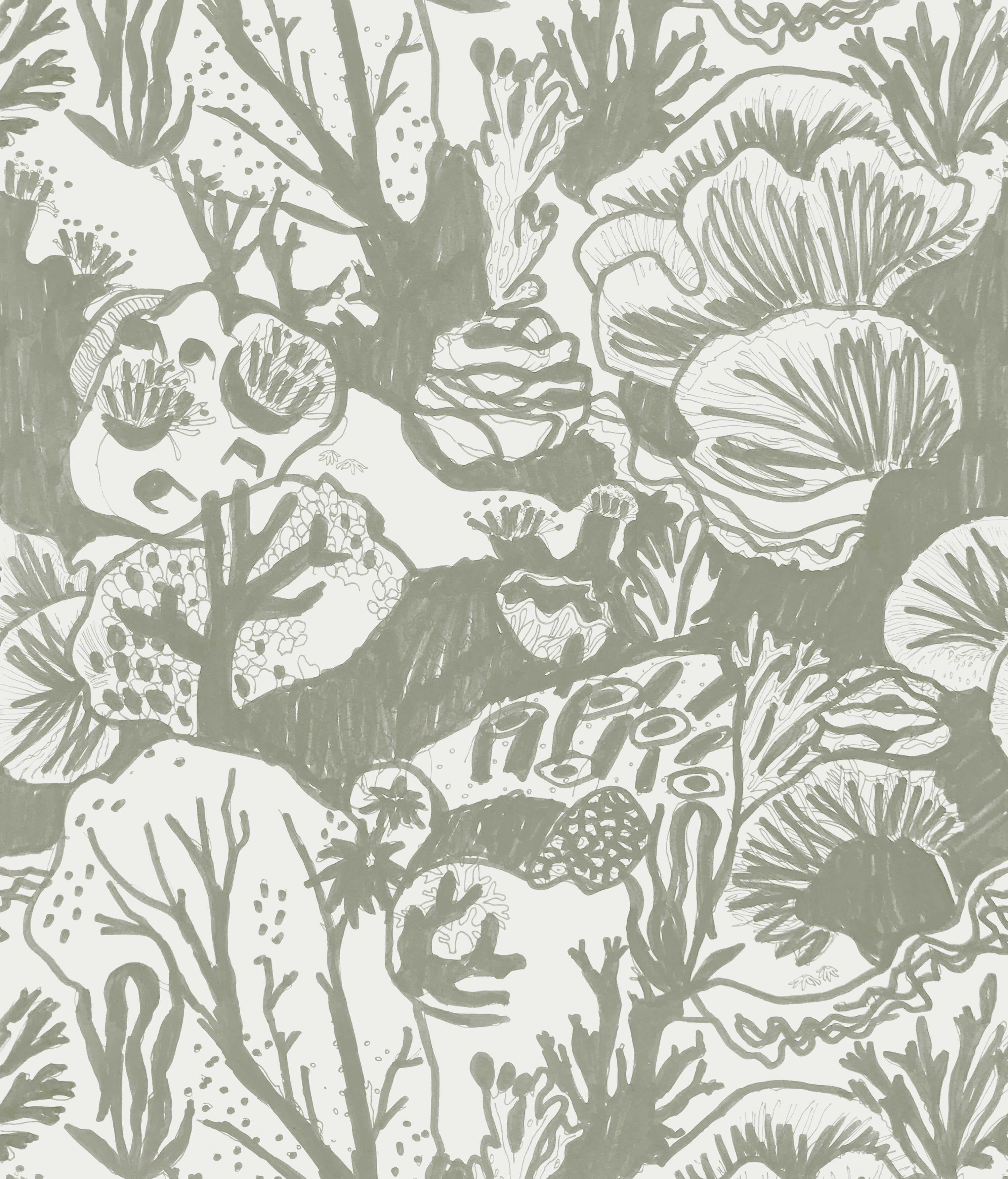 Detail of wallpaper in a playful reef print in sage on a white field.