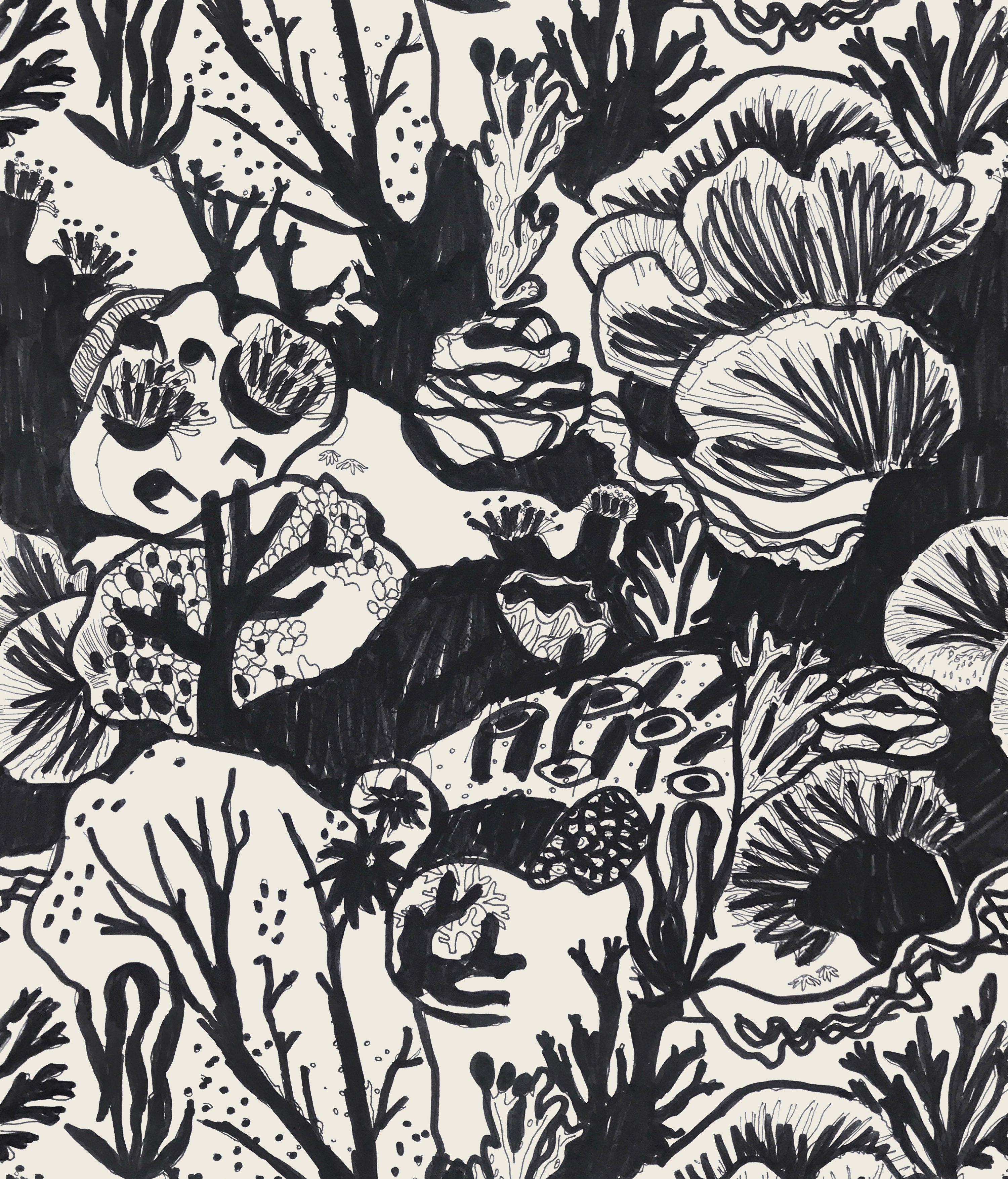 Detail of wallpaper in a playful reef print in charcoal on a white field.