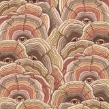 Detail of wallpaper in a statement print of tree rings with eyes in the middle. Colors are tan, brown and pink.