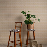 Two bamboo chairs with cushions upholstered in a painterly palm tree print. One has a potted plant on top.