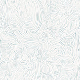 Detail of wallpaper in a playful abstract sun print in light blue on a white field.