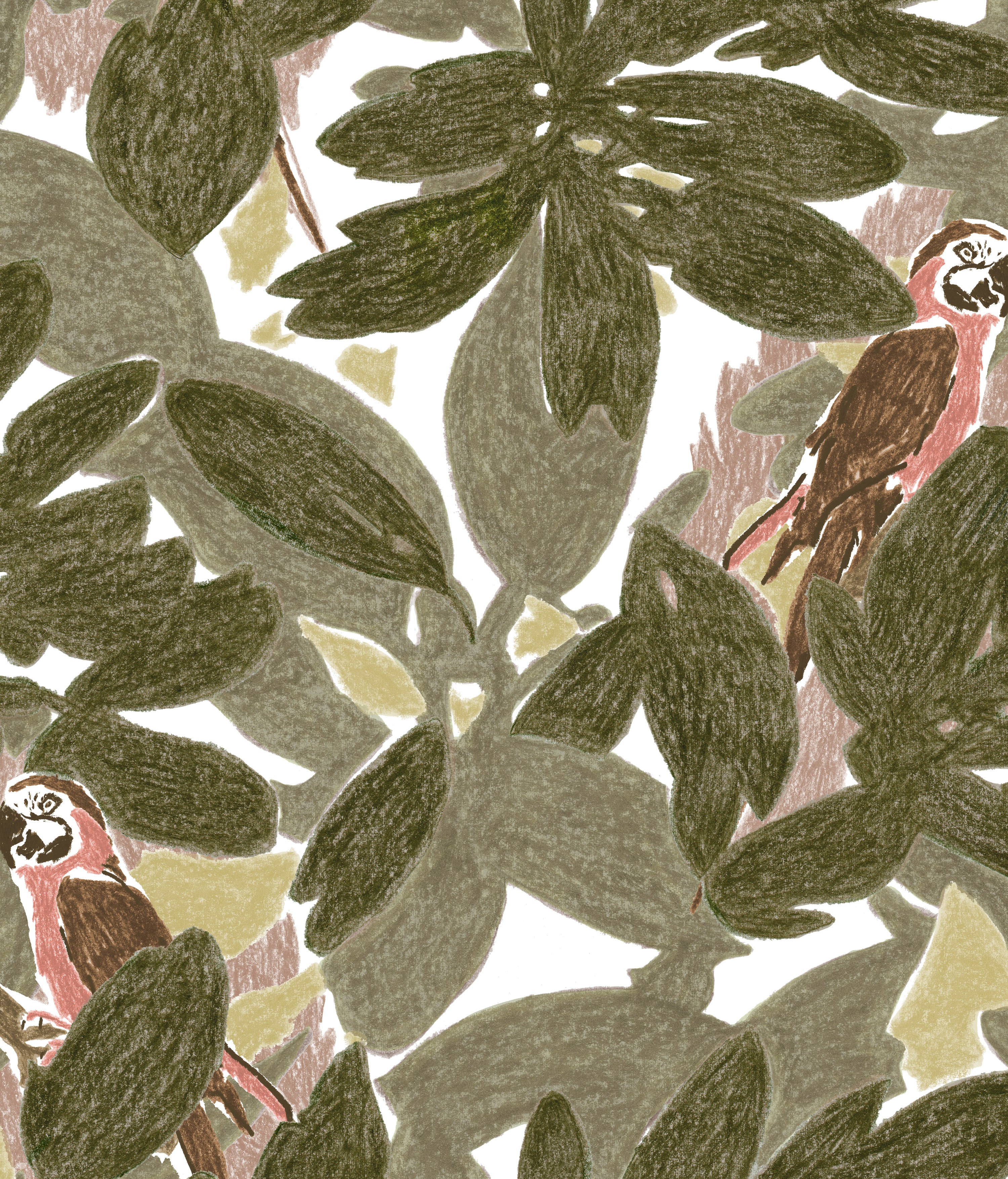 Detail of wallpaper in a playful botanical and parrot print in shades of green, brown and pink on a white field.