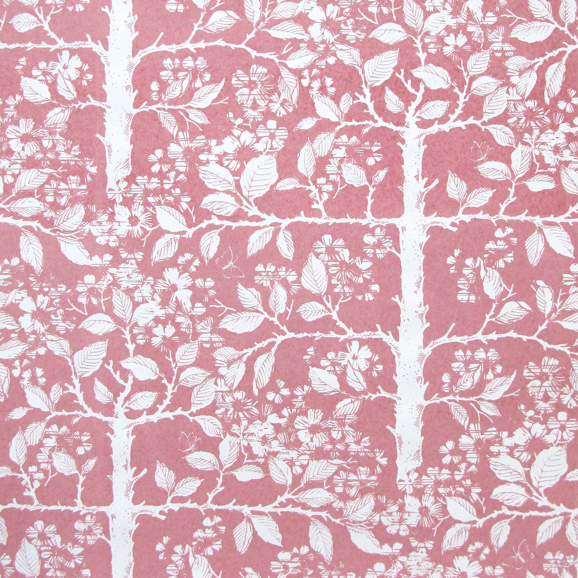 Detail of wallpaper in a large-scale tree and leaf print in white on a light rose field.