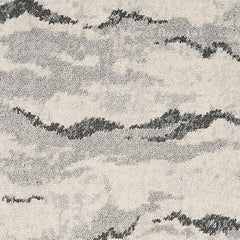Wool-nylon broadloom carpet swatch in a painterly cloud pattern in shades of tan and gray.