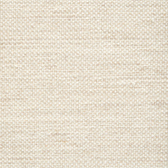 Wool-blend broadloom carpet swatch in a chunky weave texture in mottled cream.