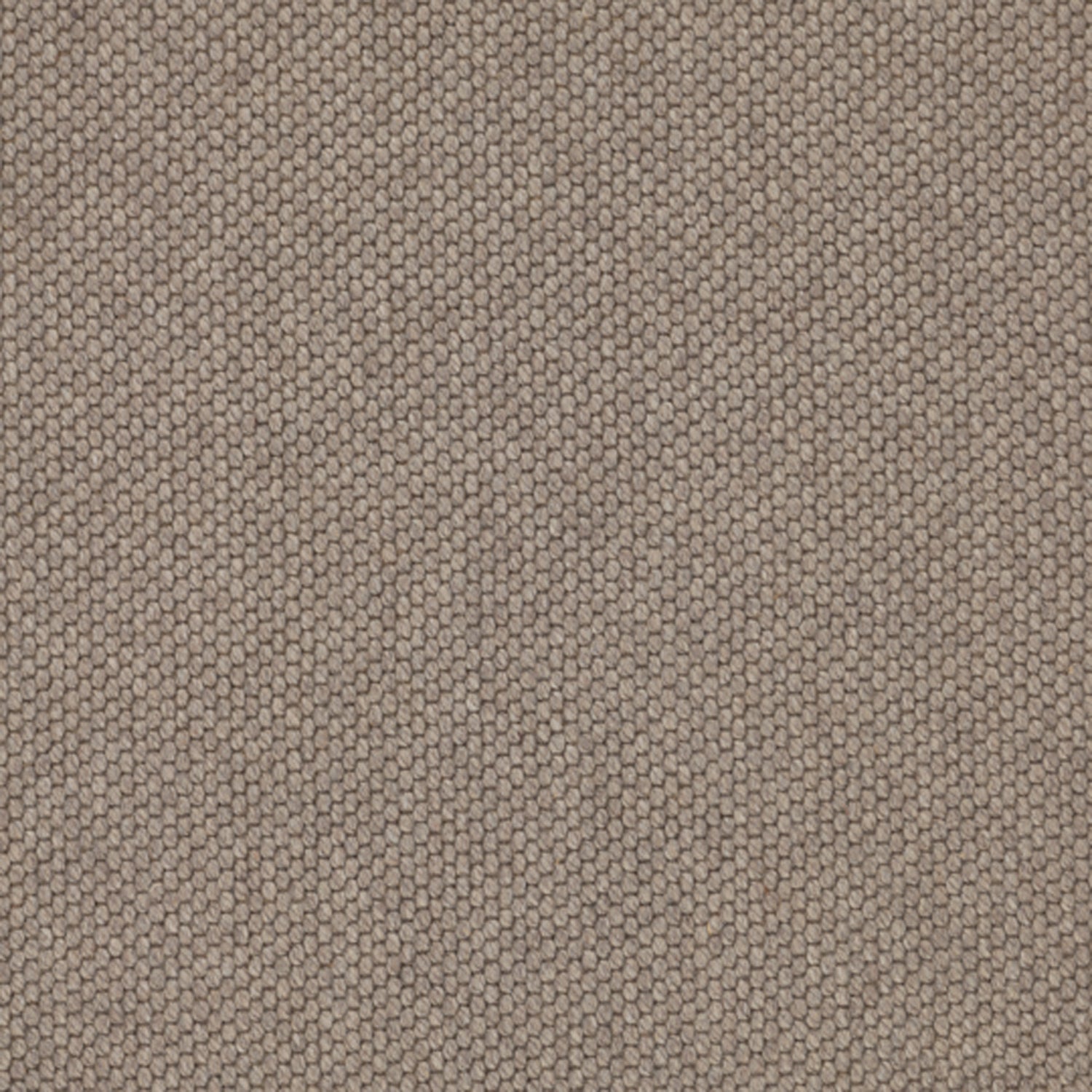 Wool broadloom carpet swatch in a chunky grid weave in greige.