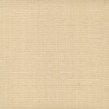 Sisal broadloom carpet swatch in a ribbed weave in "Alabaster" beige.
