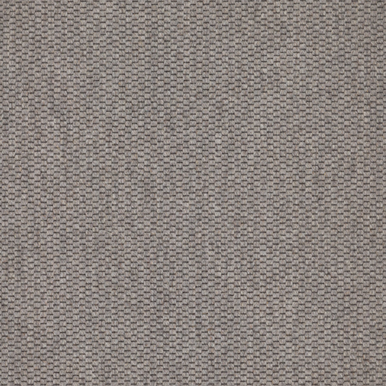 Wool broadloom carpet swatch in a flat grid weave in gray.