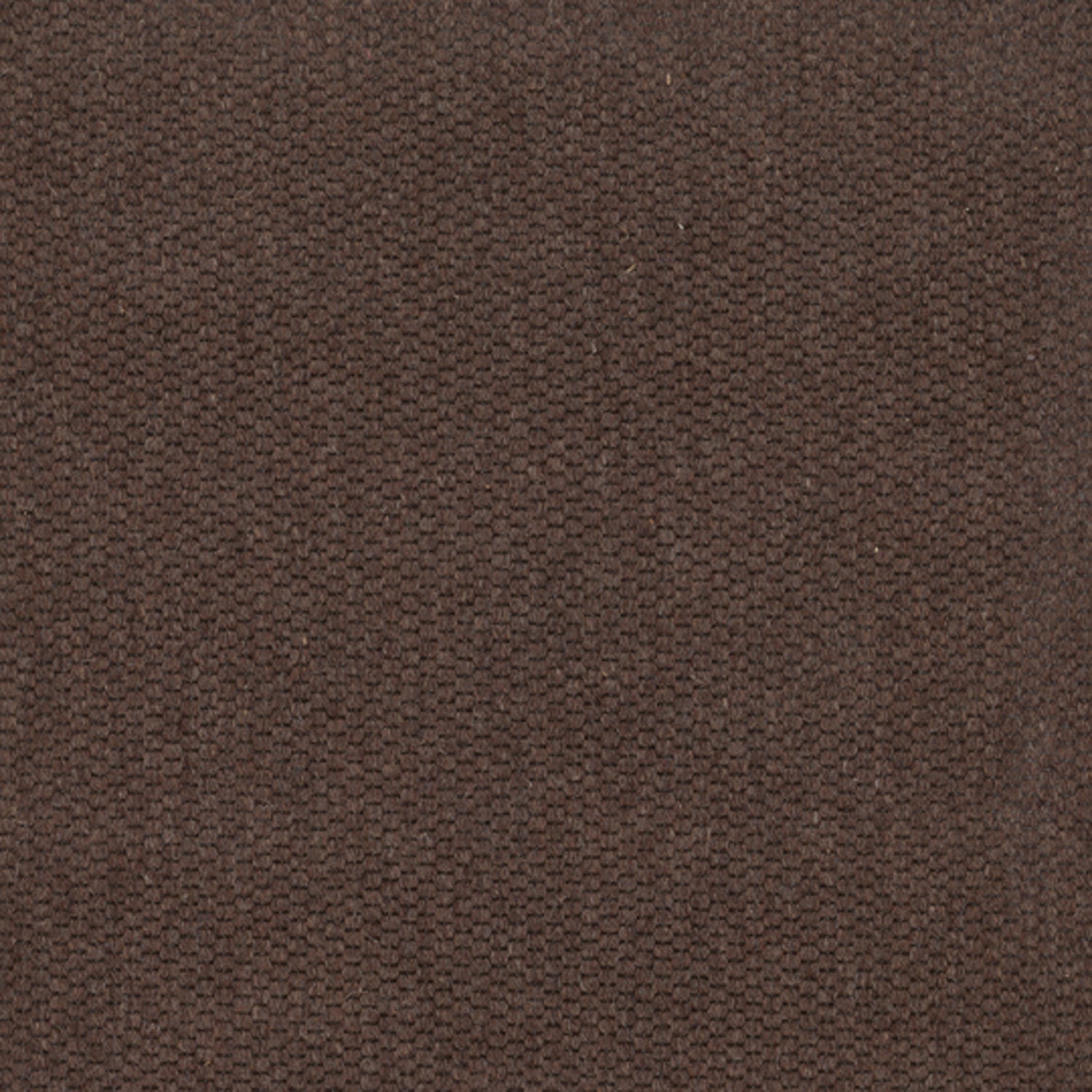 Wool broadloom carpet swatch in a flat grid weave in dark brown.