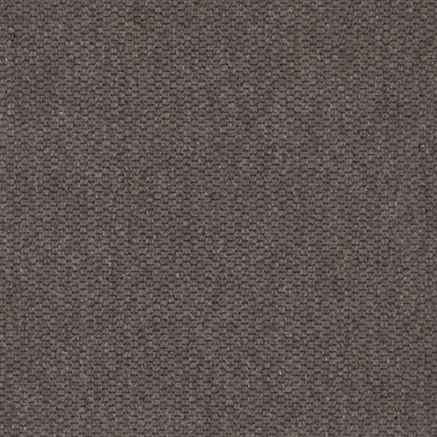 Wool broadloom carpet swatch in a flat grid weave in gray-brown.