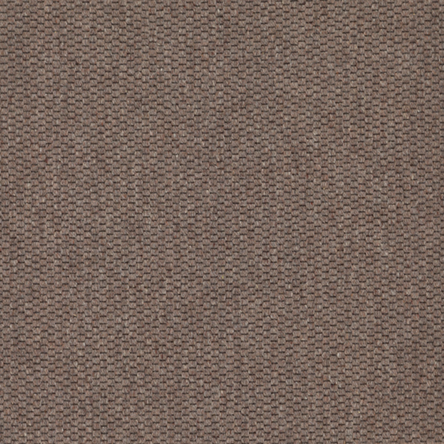 Wool broadloom carpet swatch in a flat grid weave in sable.